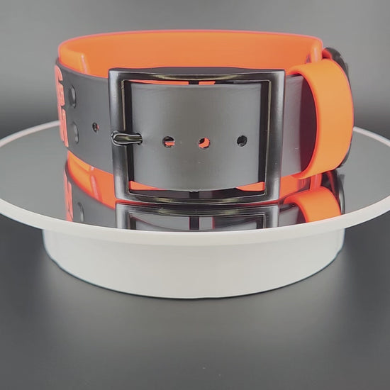2 inch wide orange and black double layer biothane collar with black hardware and orange glitter text reading: RUN YOUR DOG NOT YOUR MOUTH