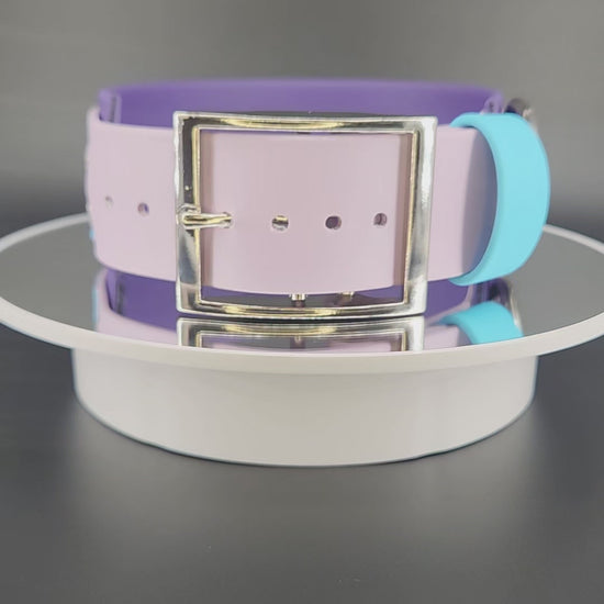 2 inch wide dark purple and lavender layered biothane fire dog collar