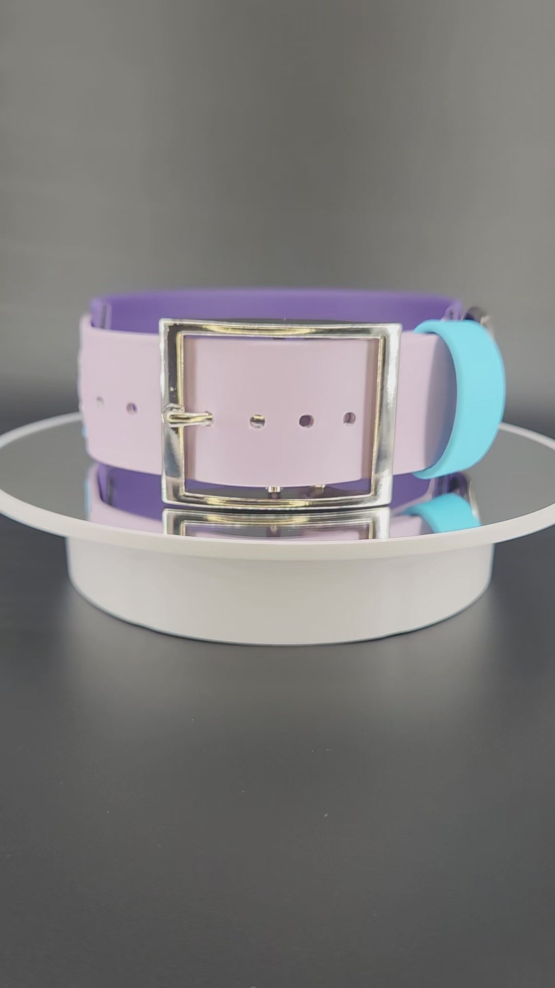 2 inch wide dark purple and lavender layered biothane fire dog collar