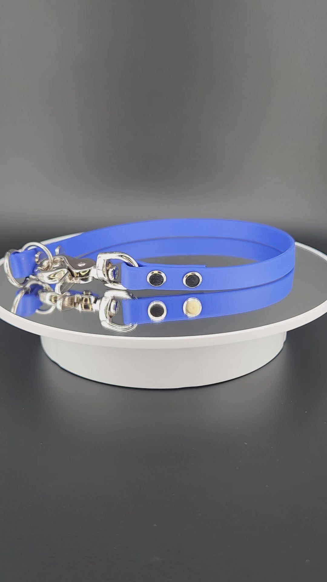 royal blue biothane slip collar with quick release clip also known as a dominant dog collar