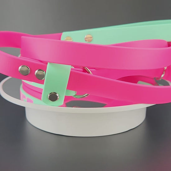 pink and mint green layered biothane French martingale dog collar with custom glitter text
