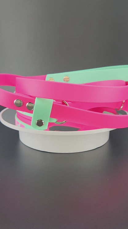 pink and mint green layered biothane French martingale dog collar with custom glitter text