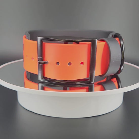2 inch wide black and orange layered biothane halloween pumpkin dog collar