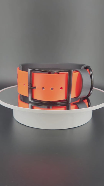 2 inch wide black and orange layered biothane halloween pumpkin dog collar
