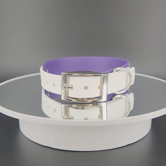 1 inch wide dark purple and white tapered biothane moon phases dog collar