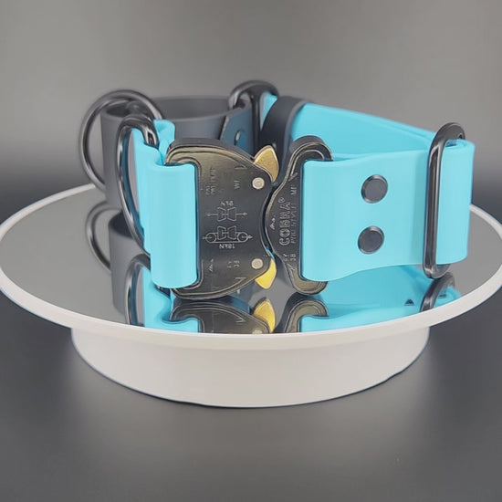 light blue and black biothane martingale dog collar with quick release cobra buckle