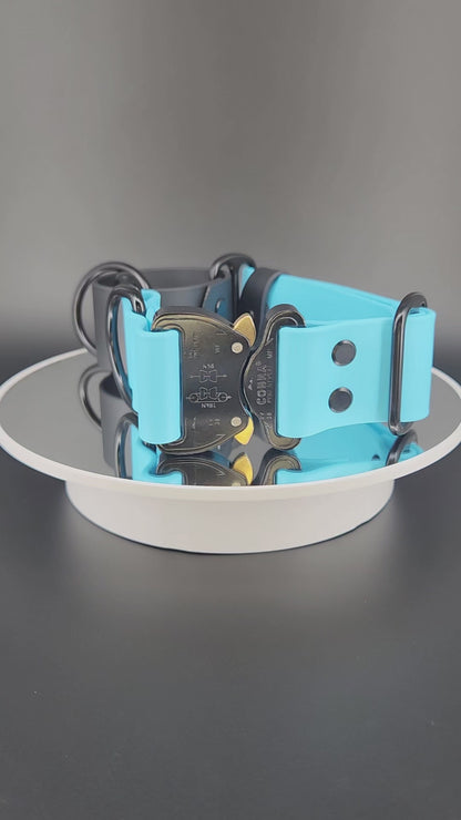 light blue and black biothane martingale dog collar with quick release cobra buckle