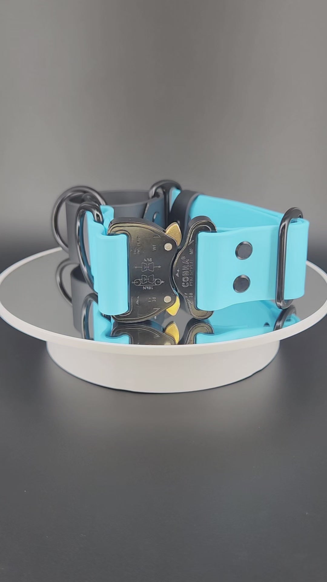 light blue and black biothane martingale dog collar with quick release cobra buckle