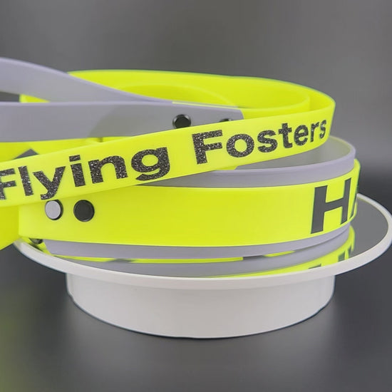 gray and yellow layered biothane French martingale with custom text