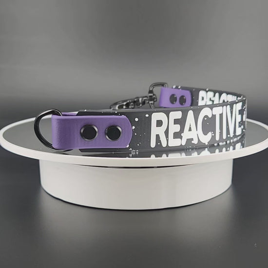 black and dark purple biothane leash wrap alternative with splatter paint reactive give space