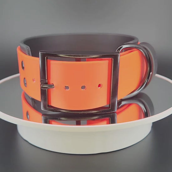 2 inch wide black and orange layered biothane dog collar with glitter welcome to the shitshow text