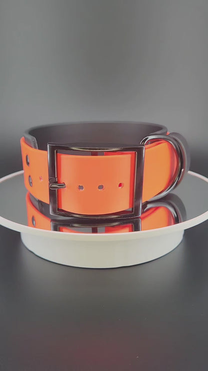 2 inch wide black and orange layered biothane dog collar with glitter welcome to the shitshow text