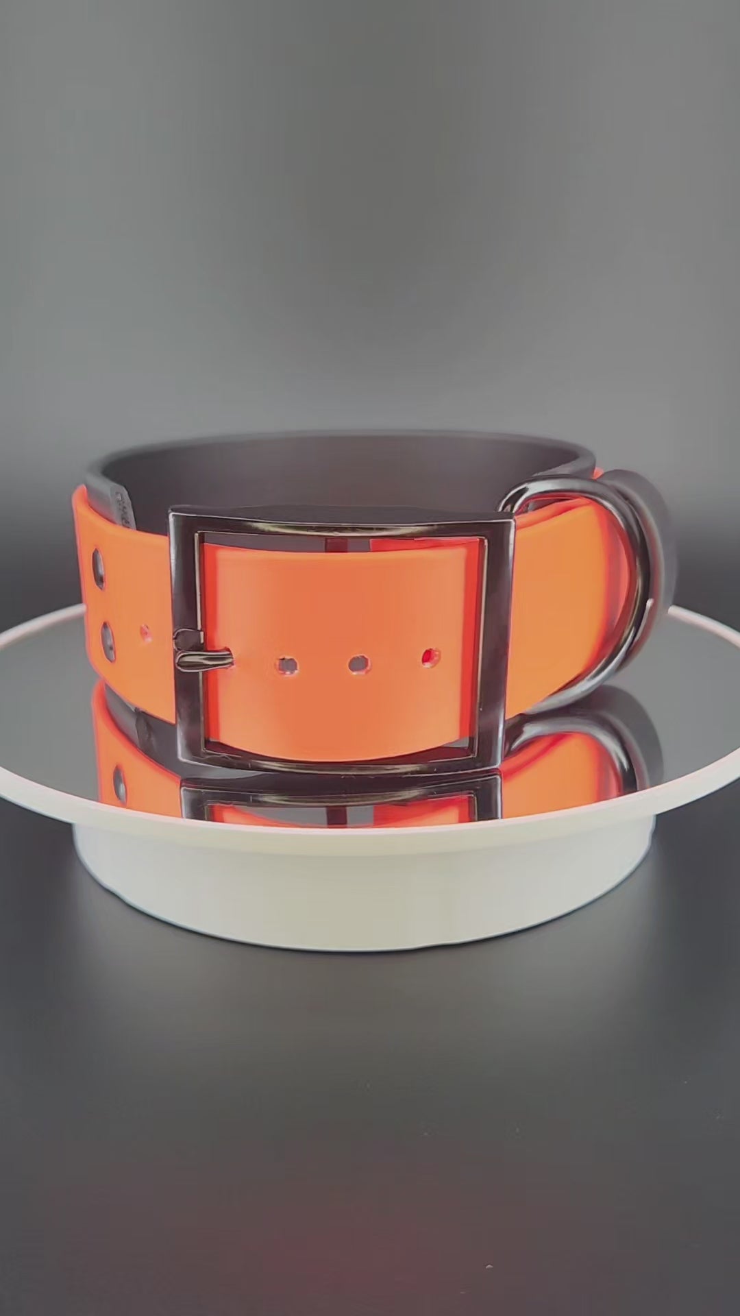 2 inch wide black and orange layered biothane dog collar with glitter welcome to the shitshow text