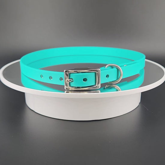 1/2 inch wide teal biothane dog collar with custom personalized text