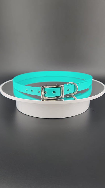 1/2 inch wide teal biothane dog collar with custom personalized text
