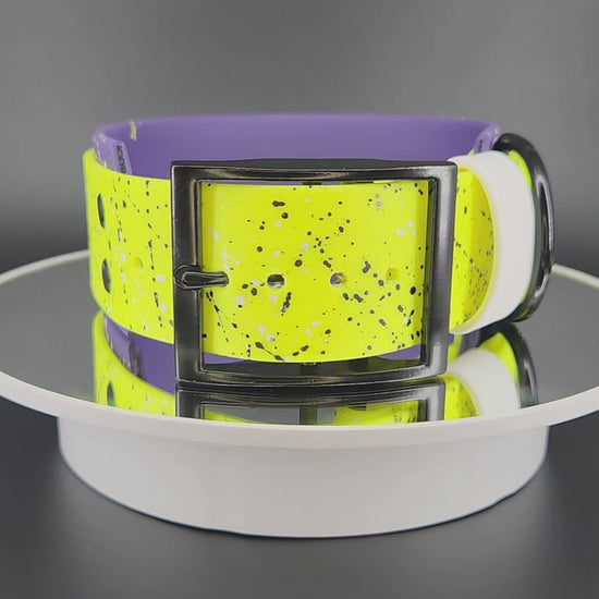 Dark Purple and Yellow Layered Biothane Nonbinary Pride Collar, 2 inch wide 15 - 18 inch neck