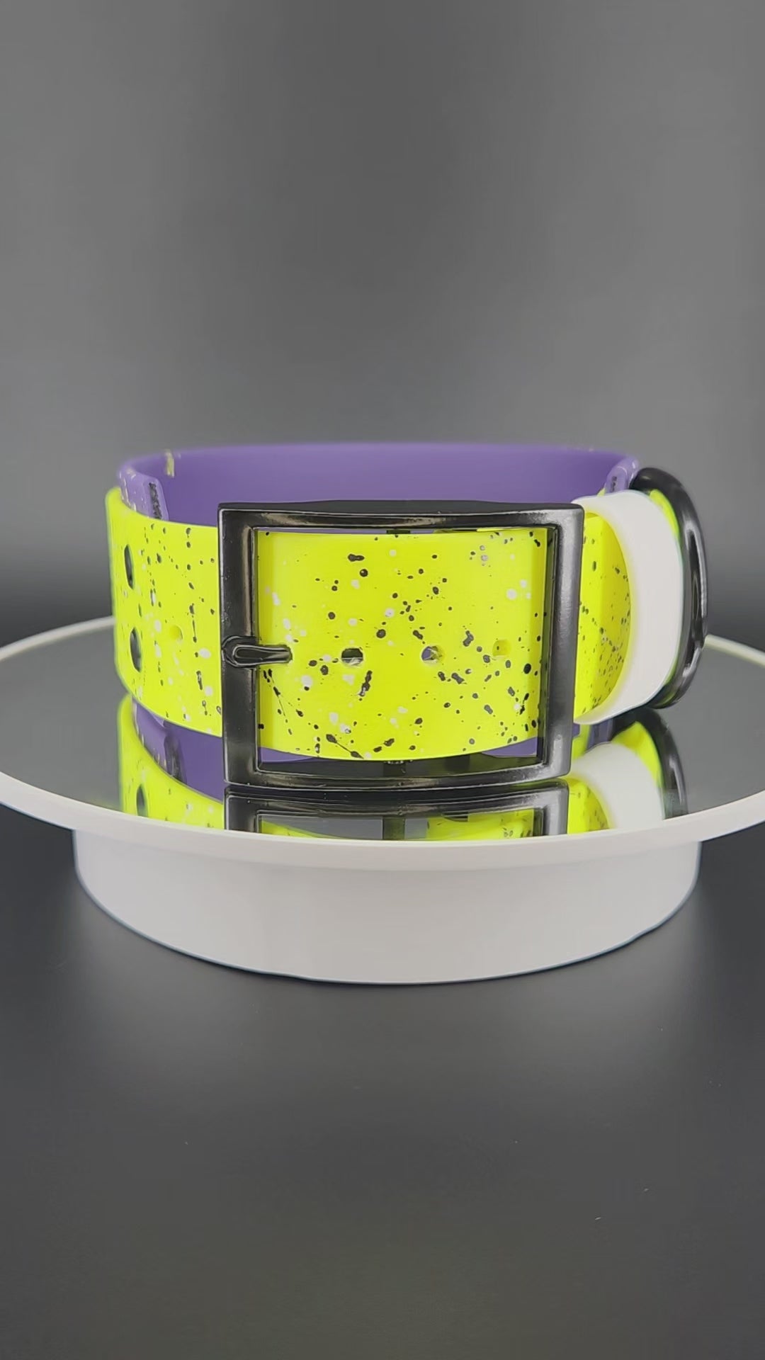 Dark Purple and Yellow Layered Biothane Nonbinary Pride Collar, 2 inch wide 15 - 18 inch neck