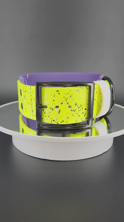 Dark Purple and Yellow Layered Biothane Nonbinary Pride Collar, 2 inch wide 15 - 18 inch neck