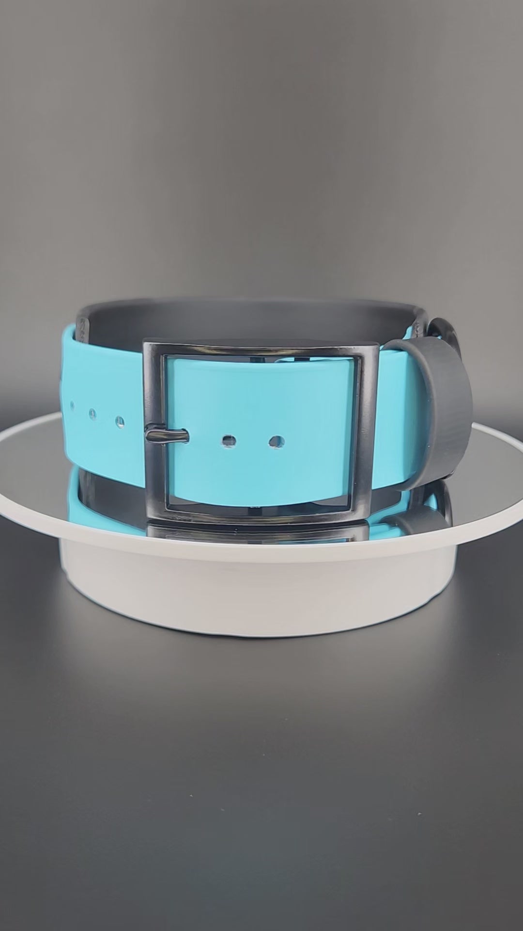 2 inch wide black and light blue layered biothane I bite racists dog collar