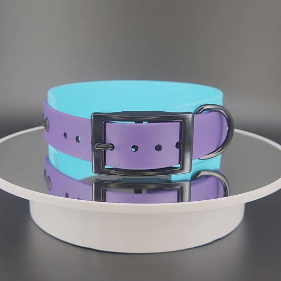 1.5 inch wide light blue and dark purple tapered biothane pet your own fucking dog collar