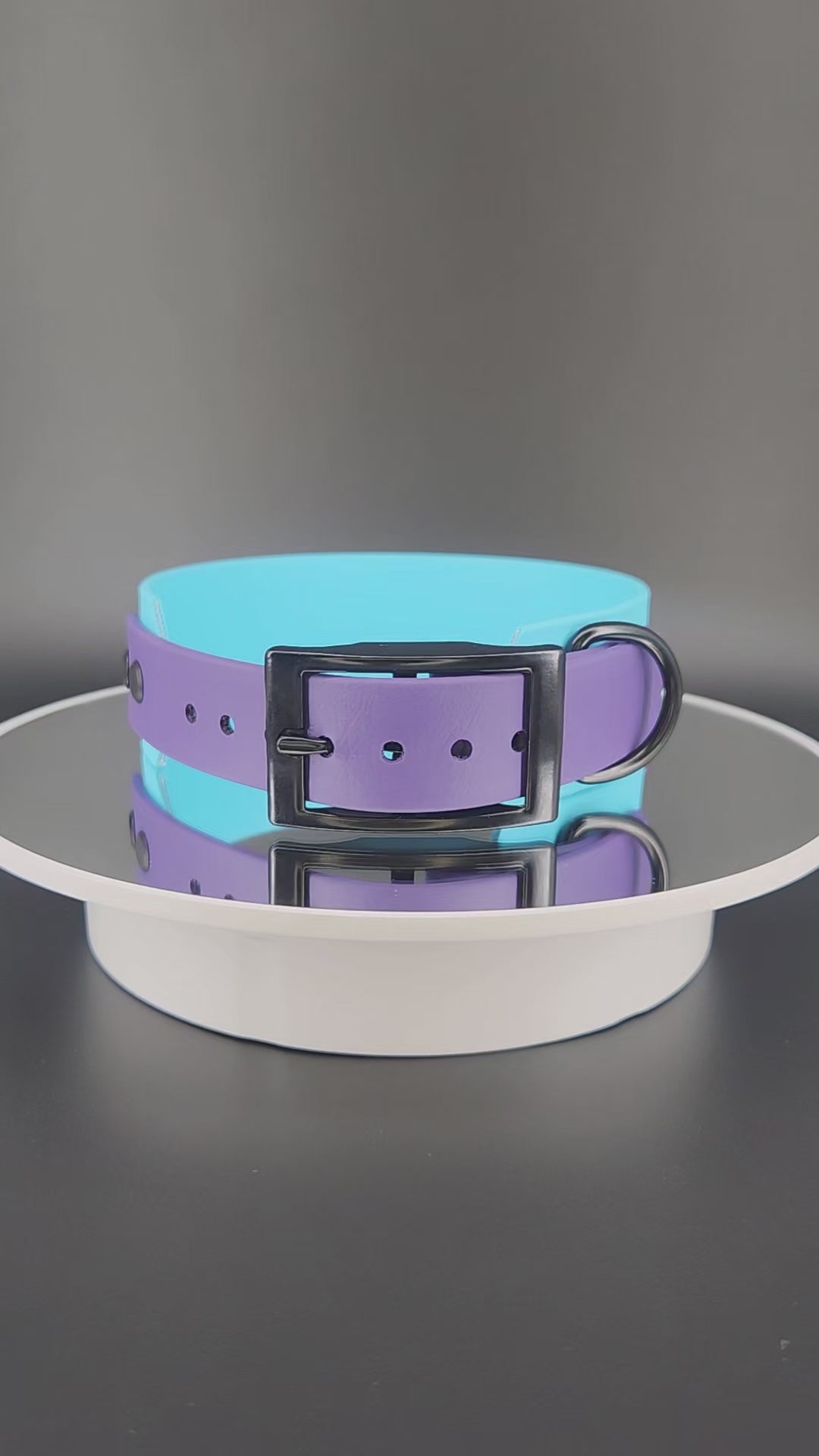 1.5 inch wide light blue and dark purple tapered biothane pet your own fucking dog collar