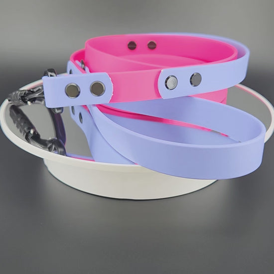 pink and periwinkle blue biothane dog leash with traffic handle and carabiner clip