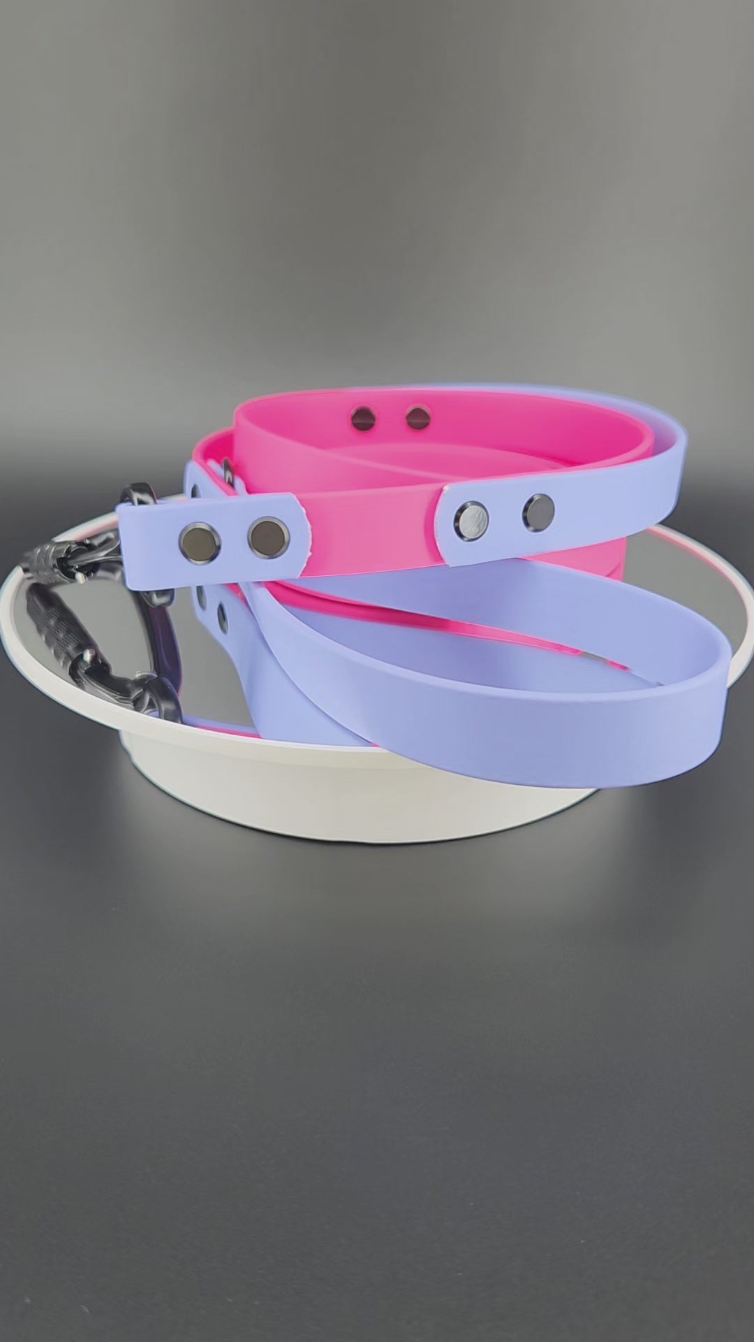 pink and periwinkle blue biothane dog leash with traffic handle and carabiner clip