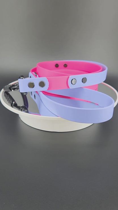 pink and periwinkle blue biothane dog leash with traffic handle and carabiner clip