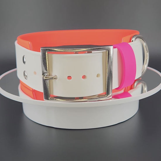 Orange and White Layered Biothane Lesbian PRIDE Collar, 2 inch wide 18 - 21 inch neck