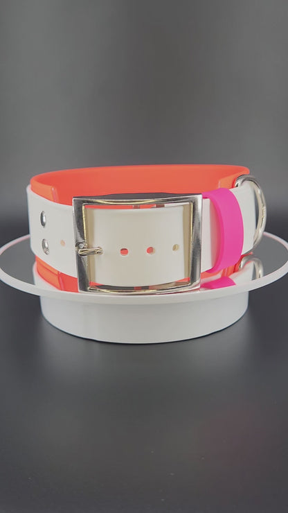 Orange and White Layered Biothane Lesbian PRIDE Collar, 2 inch wide 18 - 21 inch neck