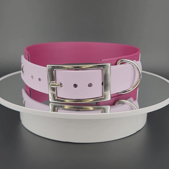 wine and lavender tapered biothane dog collar with white text reading in training