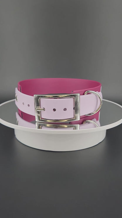 wine and lavender tapered biothane dog collar with white text reading in training