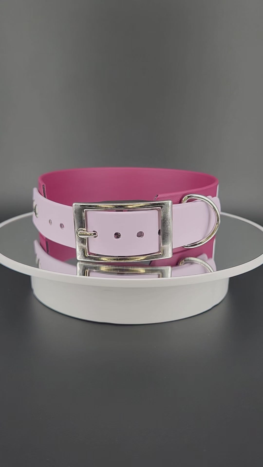 wine and lavender tapered biothane dog collar with white text reading in training