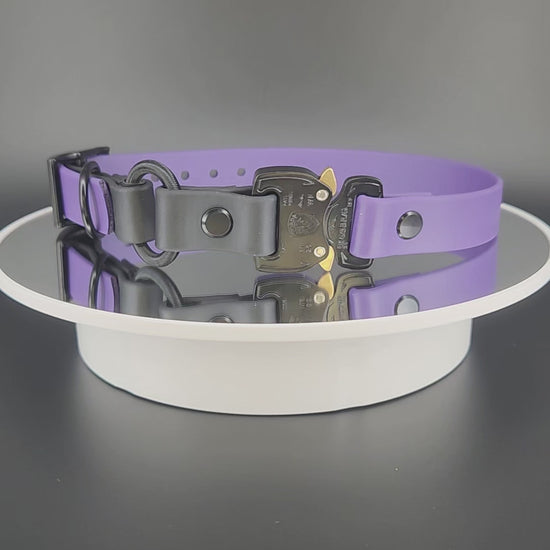 dark purple and black biothane e-collar strap with bungee and quick release cobra buckle