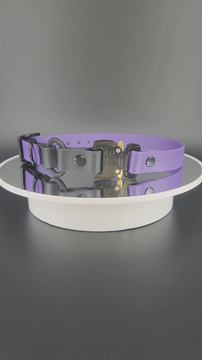 dark purple and black biothane e-collar strap with bungee and quick release cobra buckle