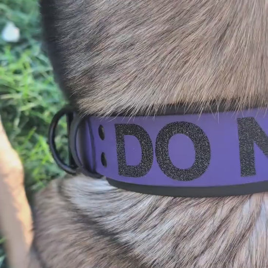 custom 2 inch wide black and dark purple layered biothane dog collar with black hardware and black glitter do not pet text