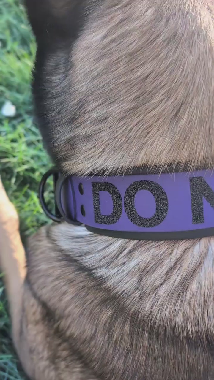 custom 2 inch wide black and dark purple layered biothane dog collar with black hardware and black glitter do not pet text