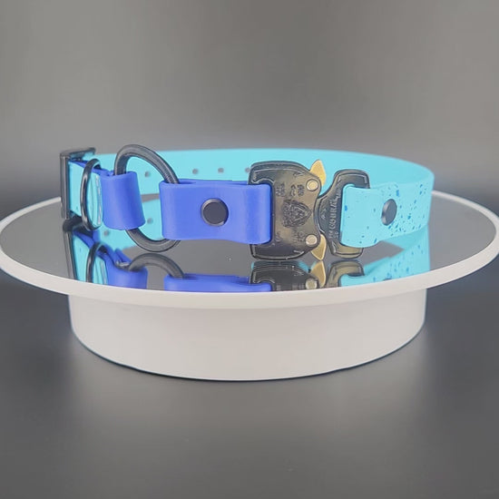 light blue and royal blue e-collar strap with bungee and quick release cobra buckle and splatter paint