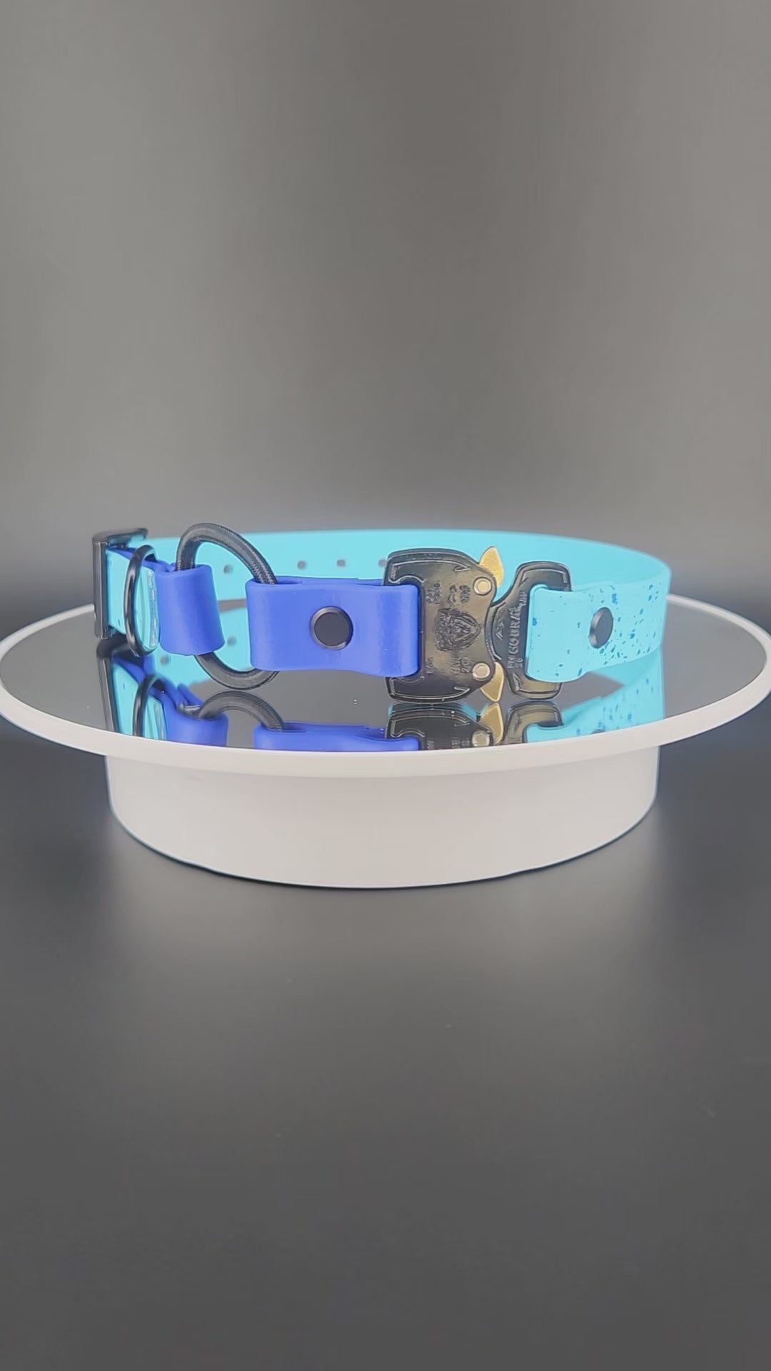 light blue and royal blue e-collar strap with bungee and quick release cobra buckle and splatter paint