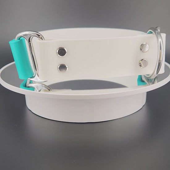 white and teal limited slip do not pet dog collar with splatter paint