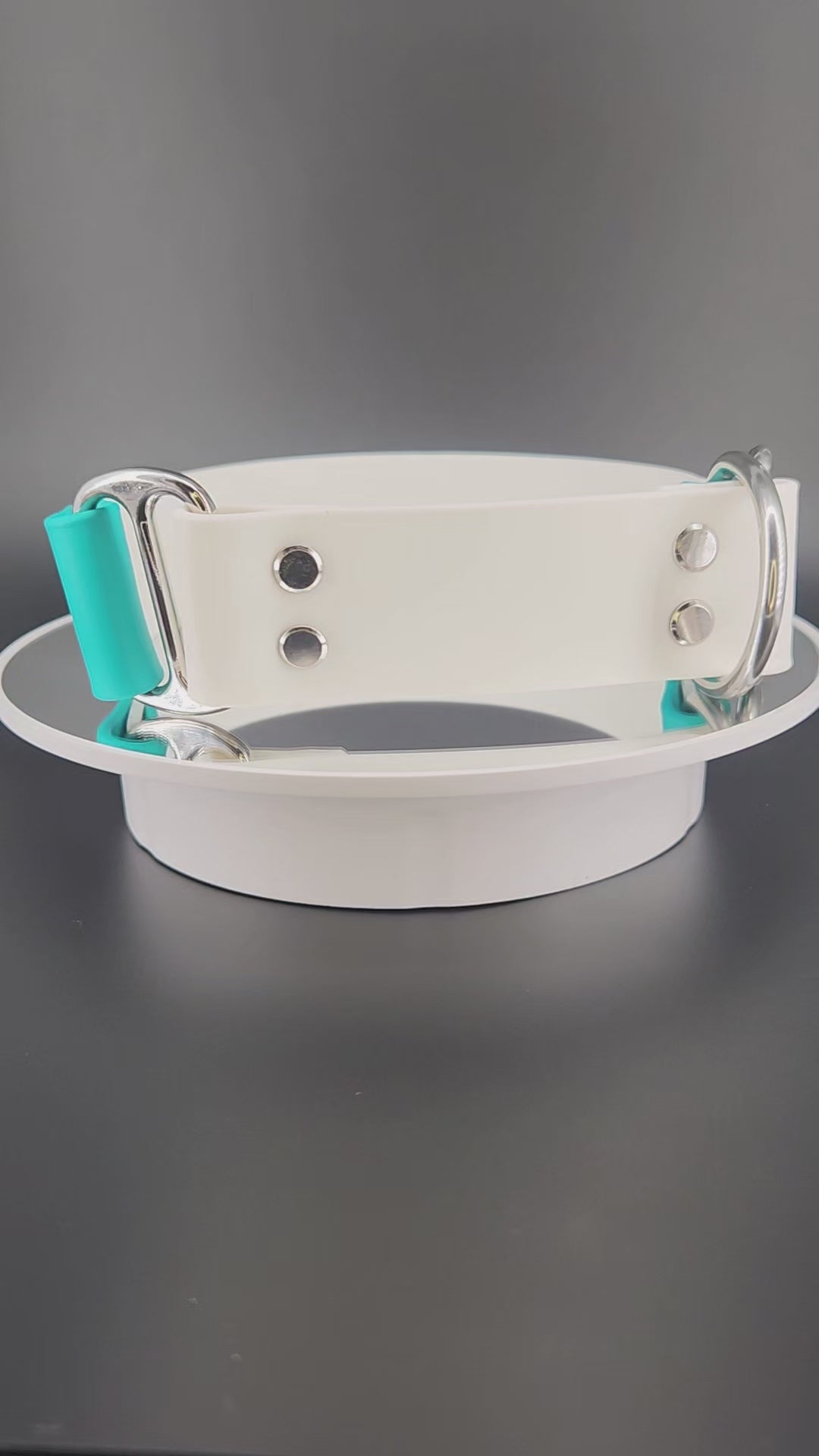 white and teal limited slip do not pet dog collar with splatter paint