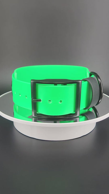 2 inch wide light green layered biothane man eater dog collar