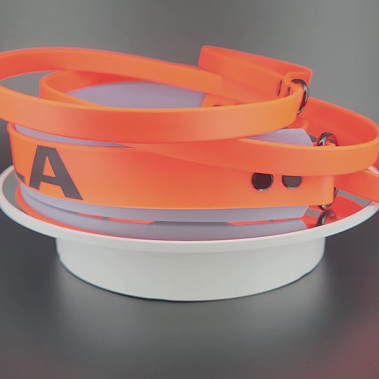 custom gray and orange layered biothane French martingale dog collar and leash with personalized text