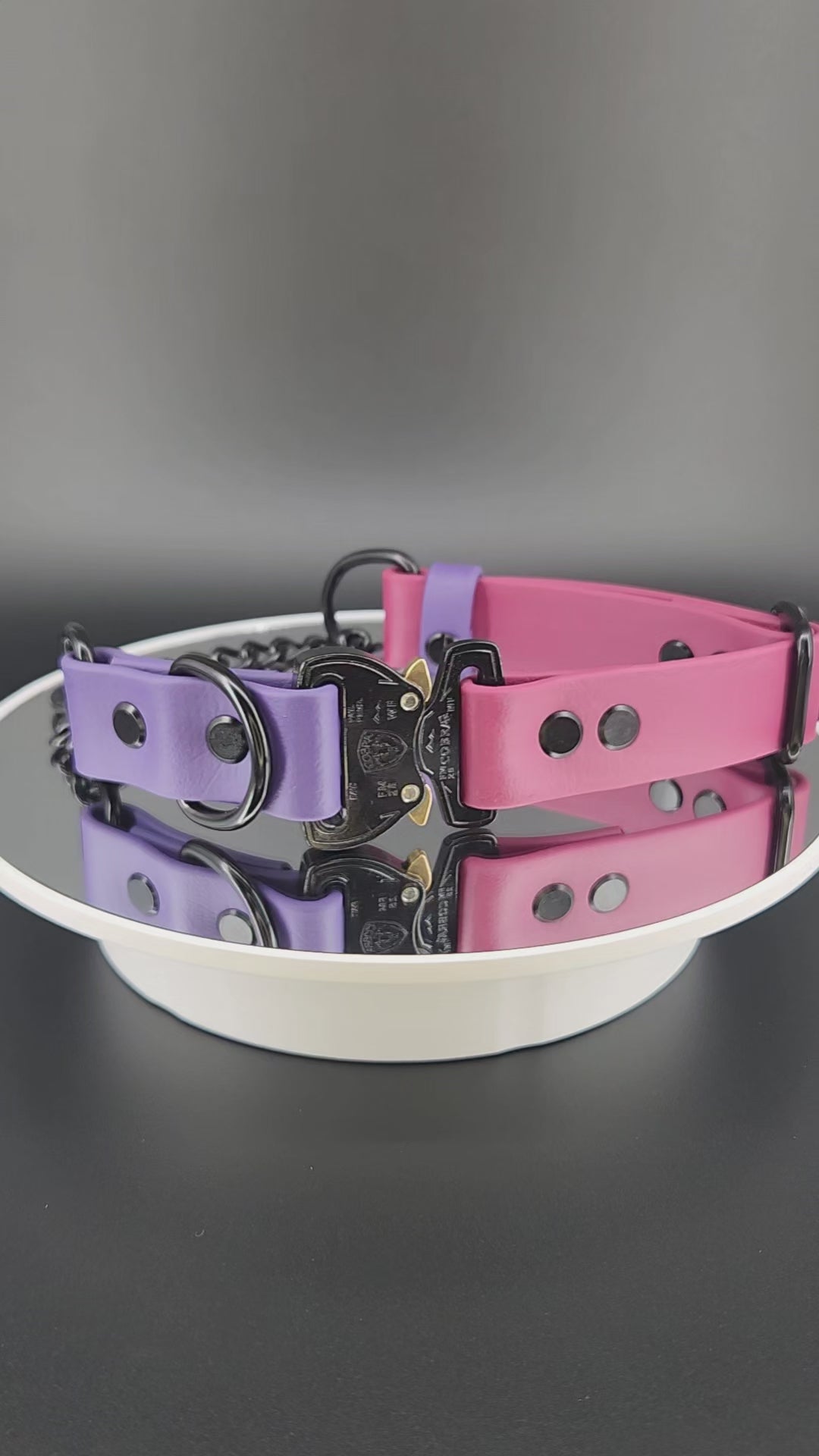 wine and dark purple biothane and black chain martingale dog collar with black quick release cobra buckle