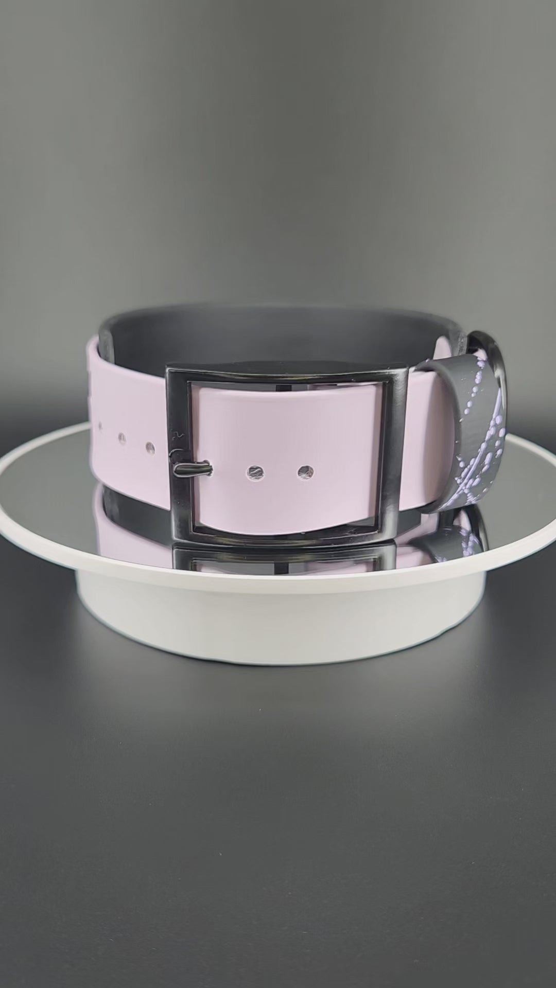 2 inch wide black and lavender layered biothane dog collar with splatter paint and glitter my teeth are bigger than your dick text