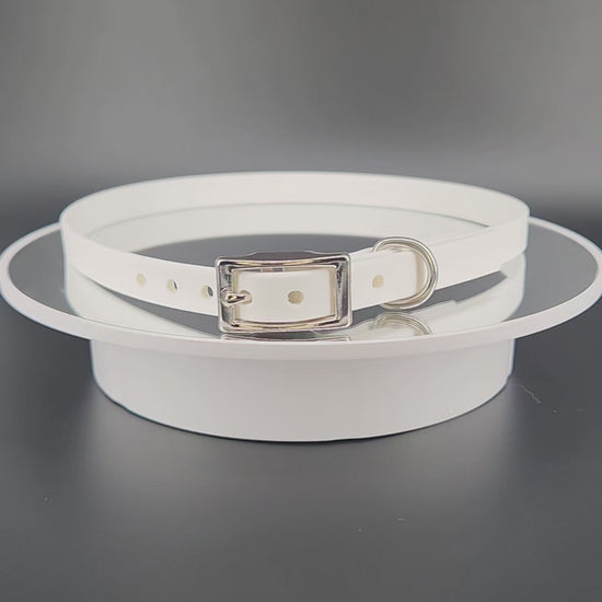 1/2 inch wide white biothane dog collar with custom personalized text