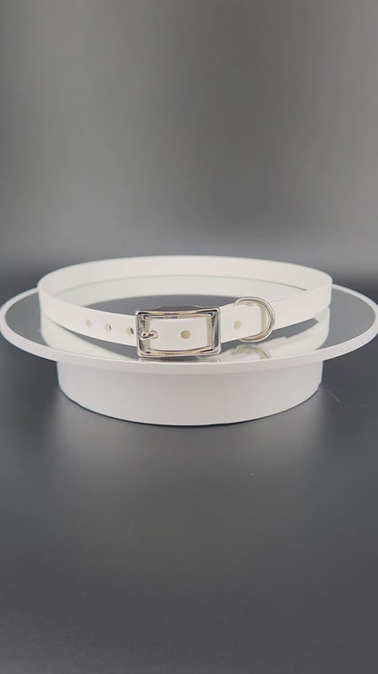 1/2 inch wide white biothane dog collar with custom personalized text