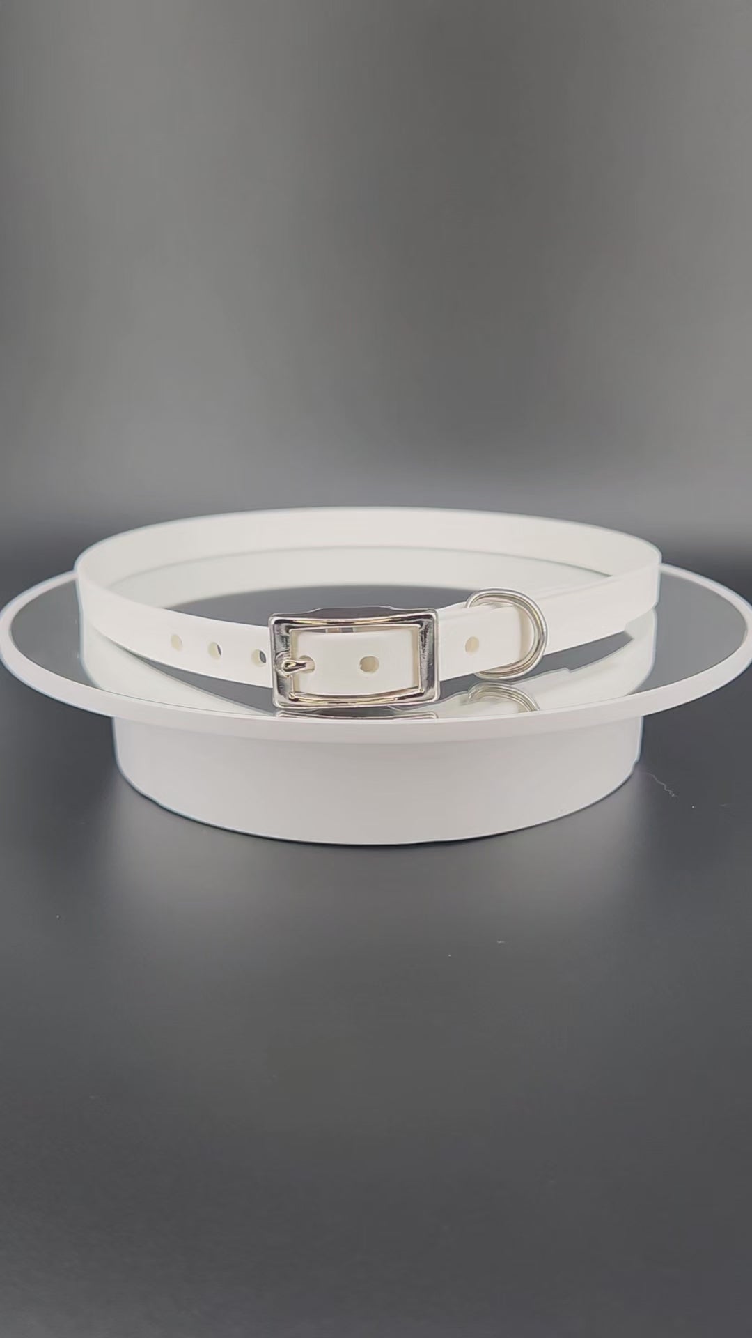 1/2 inch wide white biothane dog collar with custom personalized text