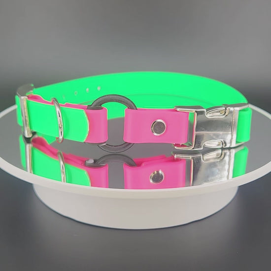 light green and pink biothane e-collar strap with bungee and silver quick release buckle