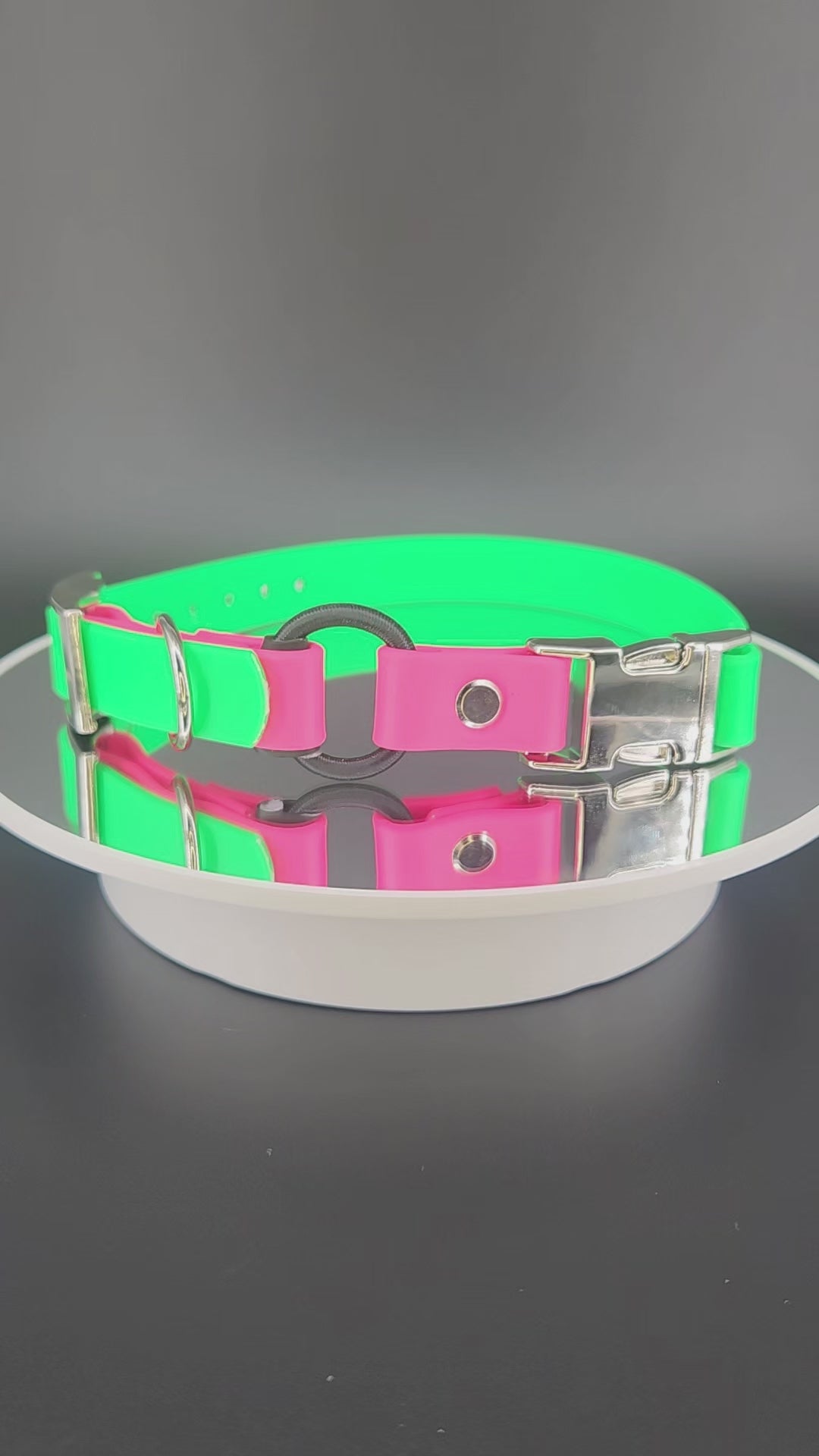 light green and pink biothane e-collar strap with bungee and silver quick release buckle